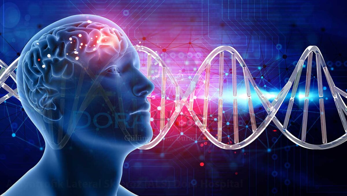 Amyotrofik Lateral Skleroz (ALS)
