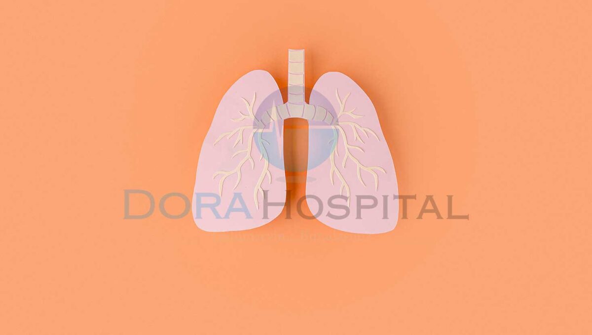 Akciğere Hangi Bölüm Bakar